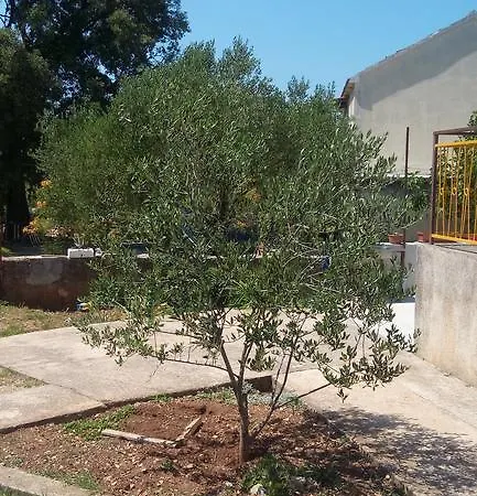 Apartment Marko Šibenik Pokoj fotografie