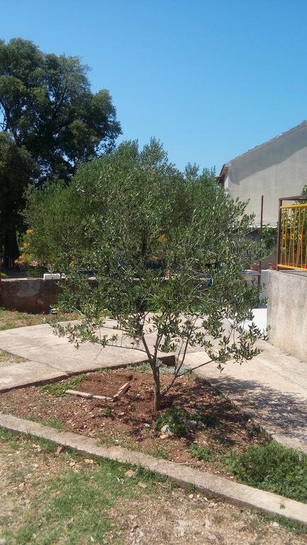 Apartment Marko Sibenik